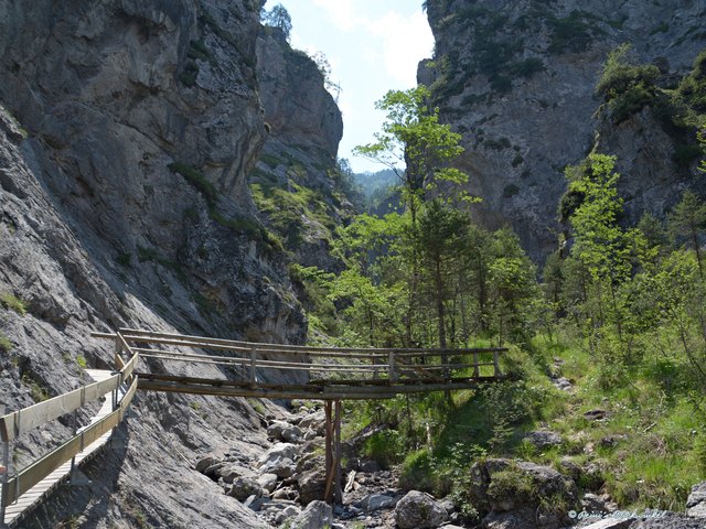 Die Geißlochklamm mit ihren Holzbrücken und einer einzigartigen Flora und Fauna lädt zum Schluchtenwandern ein | Foto: Simone Peinhardt