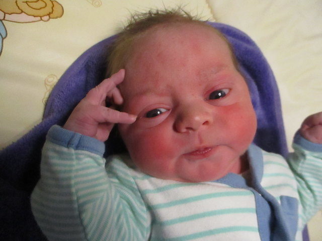 Foto: Babygalerie