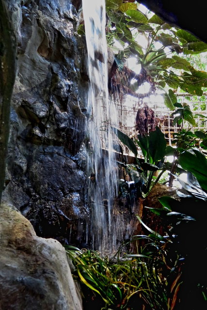 Dort gibt es nicht nur Holztreppen, schwingende Stege, stehendes Wasser, sondern auch einen Wasserfall
