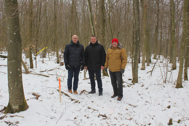 Im Kokeschwald: Dieter Stadlbauer, Dominic Hörlezeder und Bernhard Wagner bei einer Begehung in der Forstheide. | Foto: privat