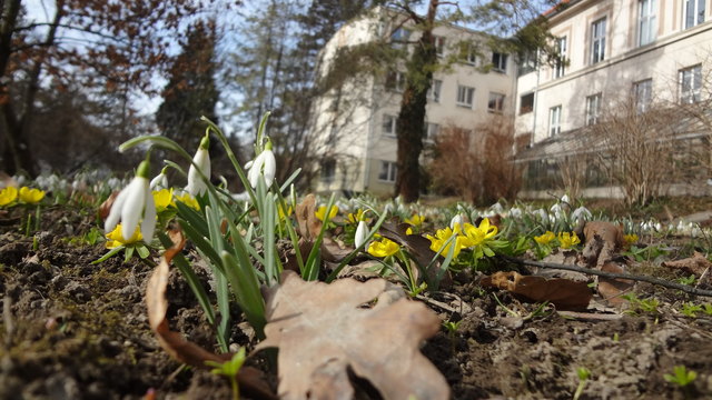 nach dem großen Frost