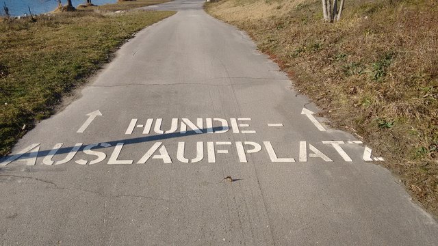 Solche Markierungen wünschen sich die Hundebesitzer.