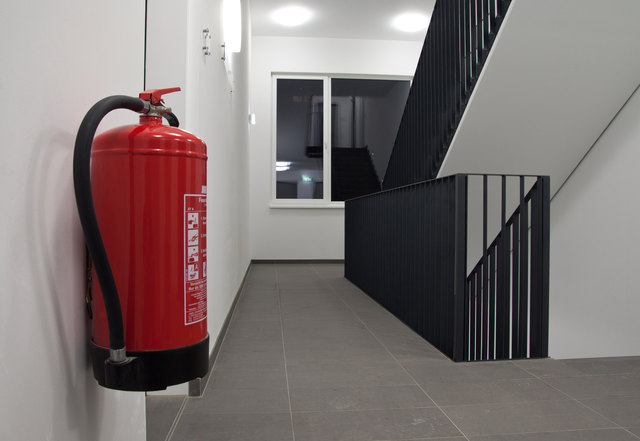 Foto: kurt kreibich/Fotolia