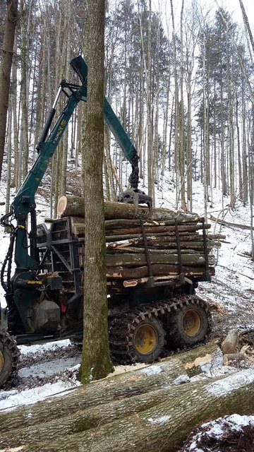 Aufarbeitung des Schadholzes am "Satterl" in Molln.