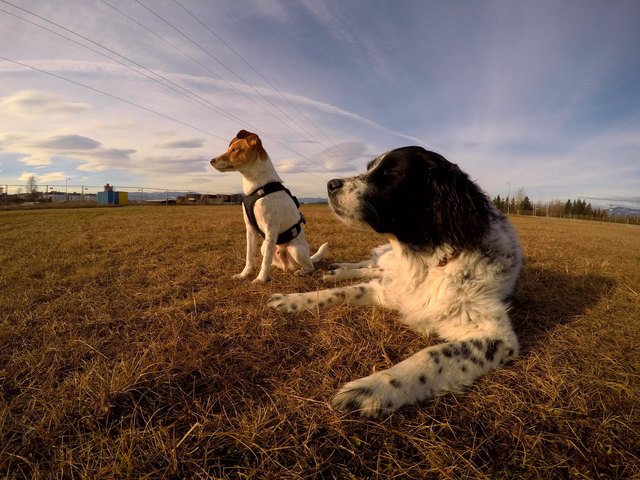 Oskar und Stella genießen den Sonnenaufgang.