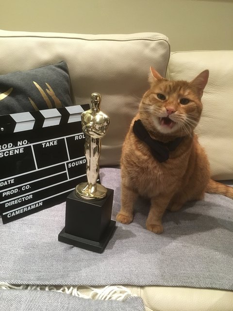 unseren Oscar verleihen wir nicht