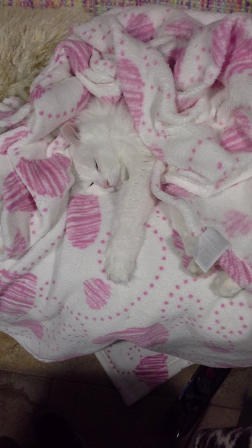 Moni Suchbild