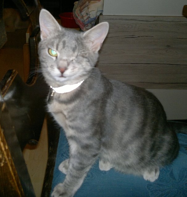 Hat wer mein Glasauge gesehen?