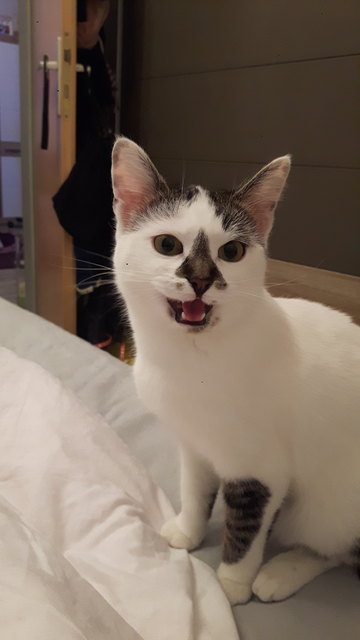 Amy