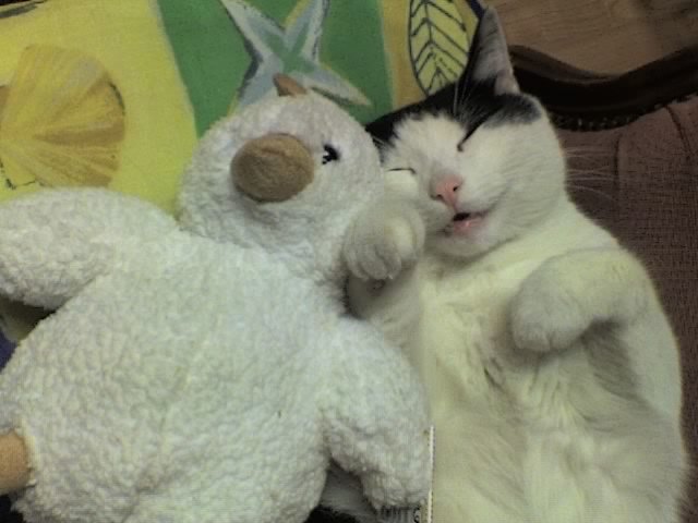 Mein bester Freund