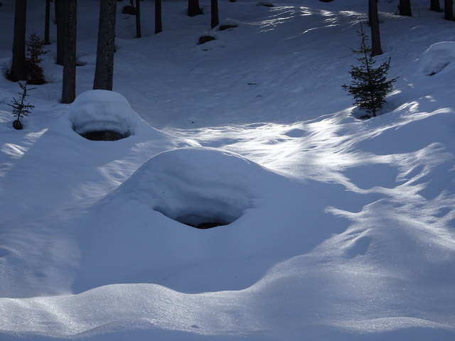 ... bekommt man, wenn man so herrlich funkelnden Schnee entdeckt. Und dann sieht es ja auch irgendwie so aus, als würde man da zweifach angelächelt werden...