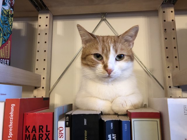 "Du sollst mehr lesen", findet Mascha.