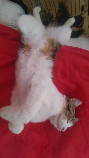Relax