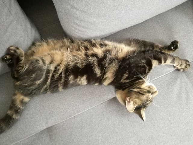Unser Genießer Kiro!!