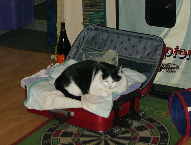Reisefieber
