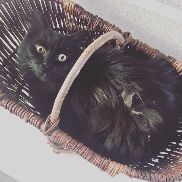 Don't give me this look :-)