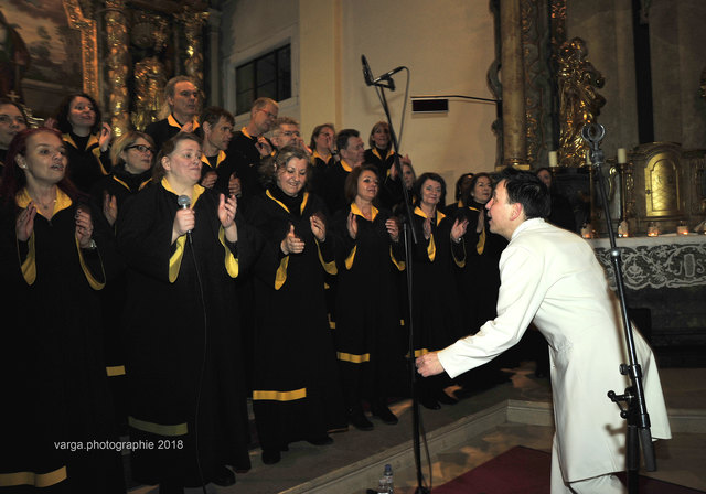 Dr. Weilguny leitet den Chor mit großem Einsatz | Foto: Foto Willi Varga