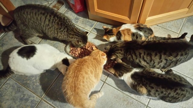 Mittagspause