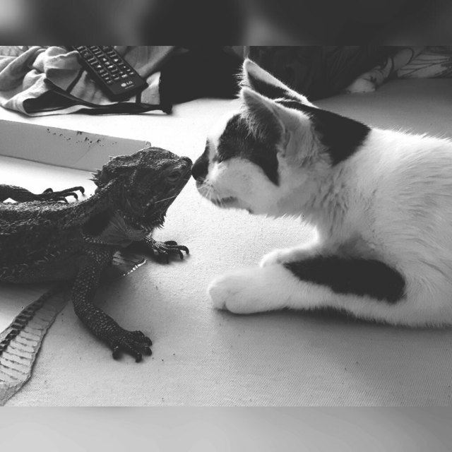 Amy & Samy