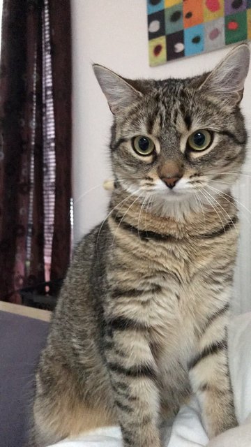 Lucy