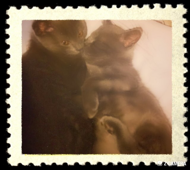 Micky&Minnie
