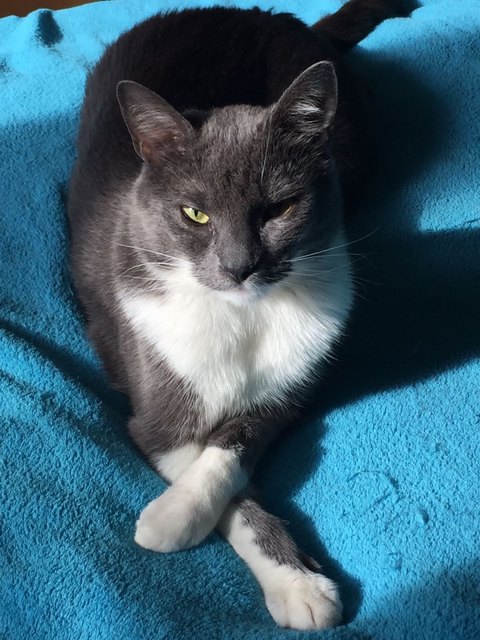 Sir Jeremy