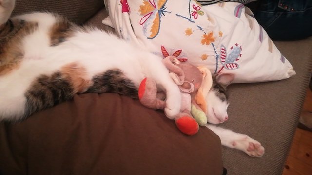 Kuschelzeit