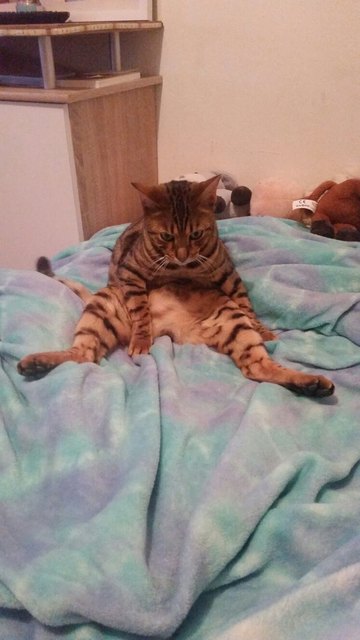 Ares