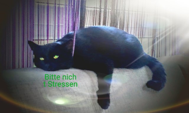 Guten Morgen !