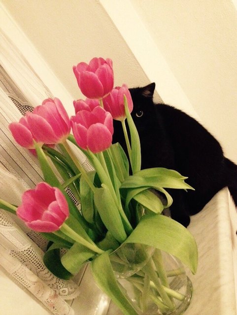 Frühling