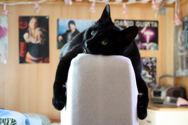 Milko