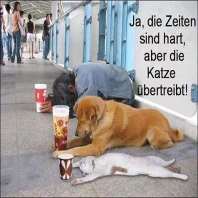 wie wahr