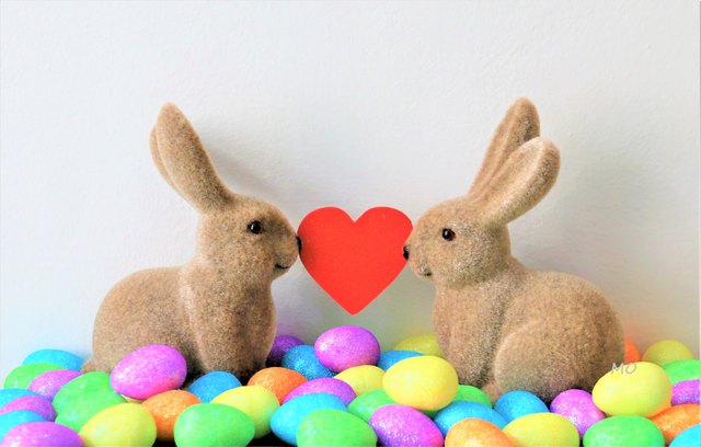 Ein herzliches Dankeschön, an die Redaktion der Woche Graz für die Veröffendlichung in der heutigen Printausgabe!