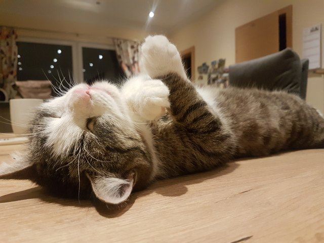 Unser Felix