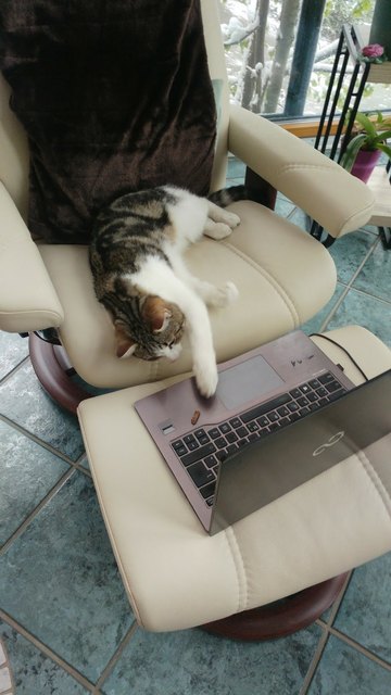 Computerarbeit