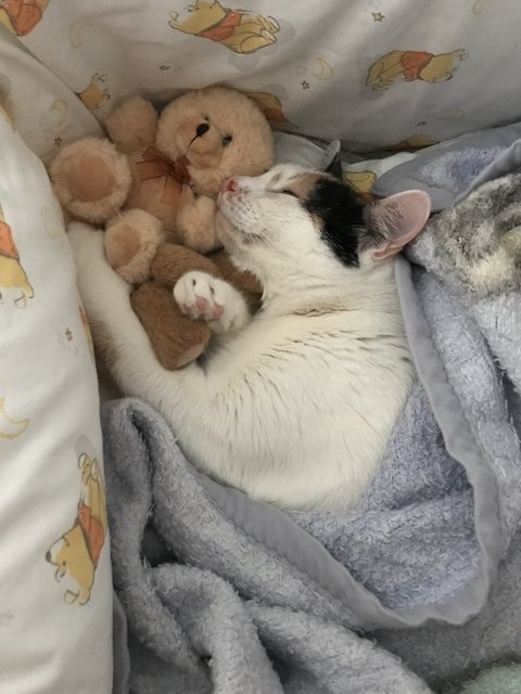 Einmal wieder Baby sein