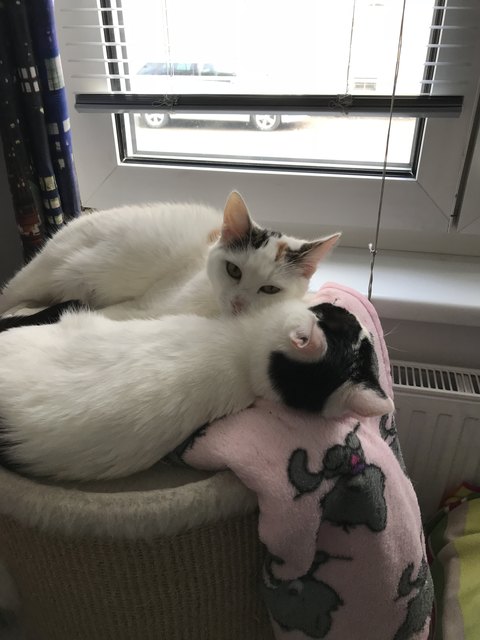 Cindy&Venus