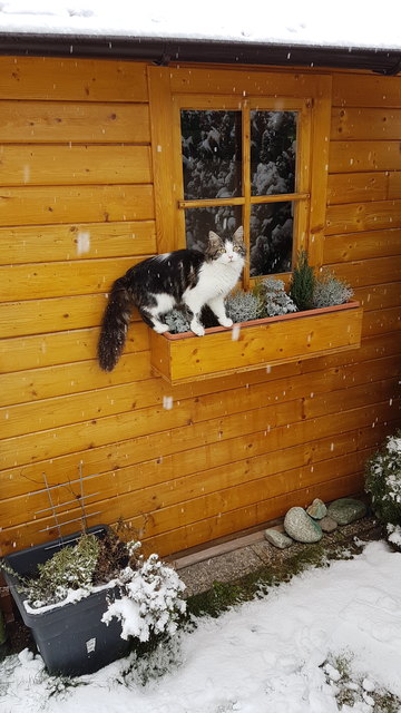 Hilfe schnee