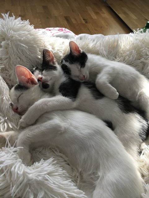 Geschwisterliebe ❤️