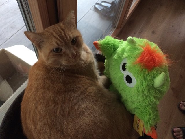 Murphy und sein Freund