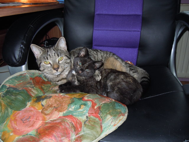 Freundschaft