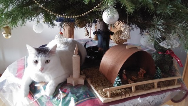 Weihnachten 2016