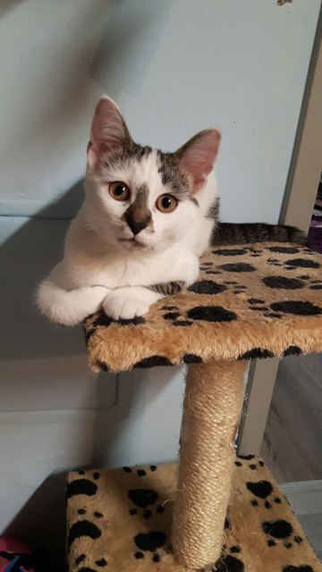 Amy