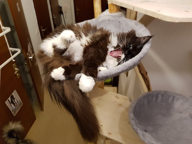 Gähnnnnnnnnnnnnn!!!!