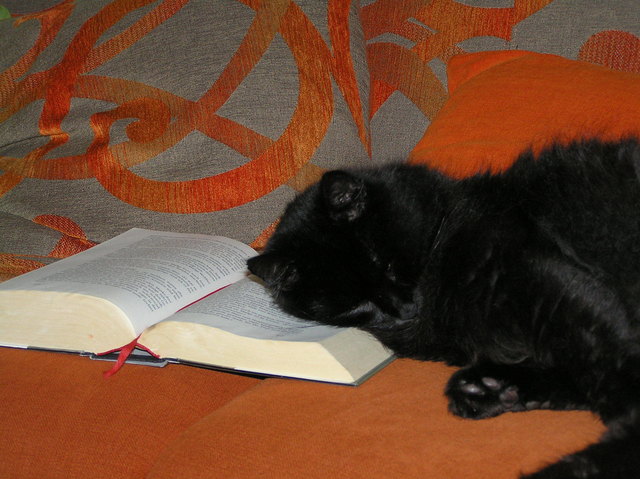 lesen macht so müde