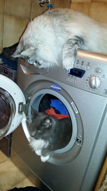 Einmal waschen bitte!