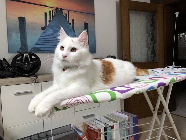 Mein kleiner Träumer ❤️