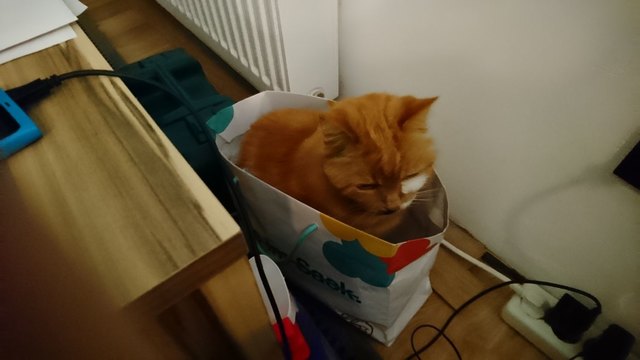 Petzi