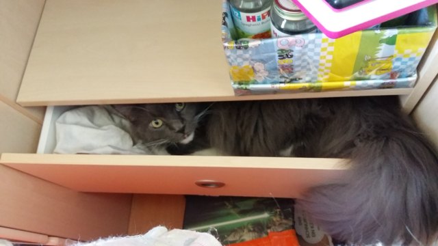 Guck guck!
