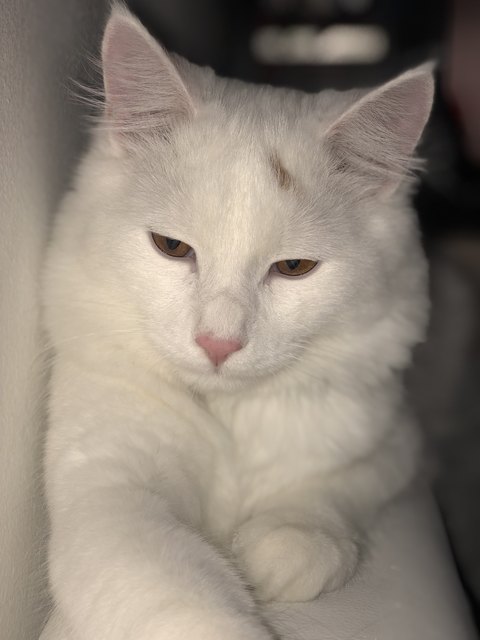 ❤️